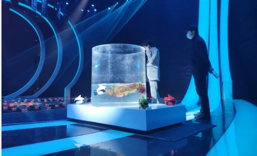 以青春之名,書寫時代華章